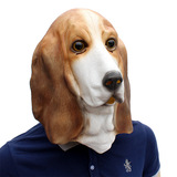 Хэллоуин фестиваль танцевальная вечеринка продукты Pet Latel