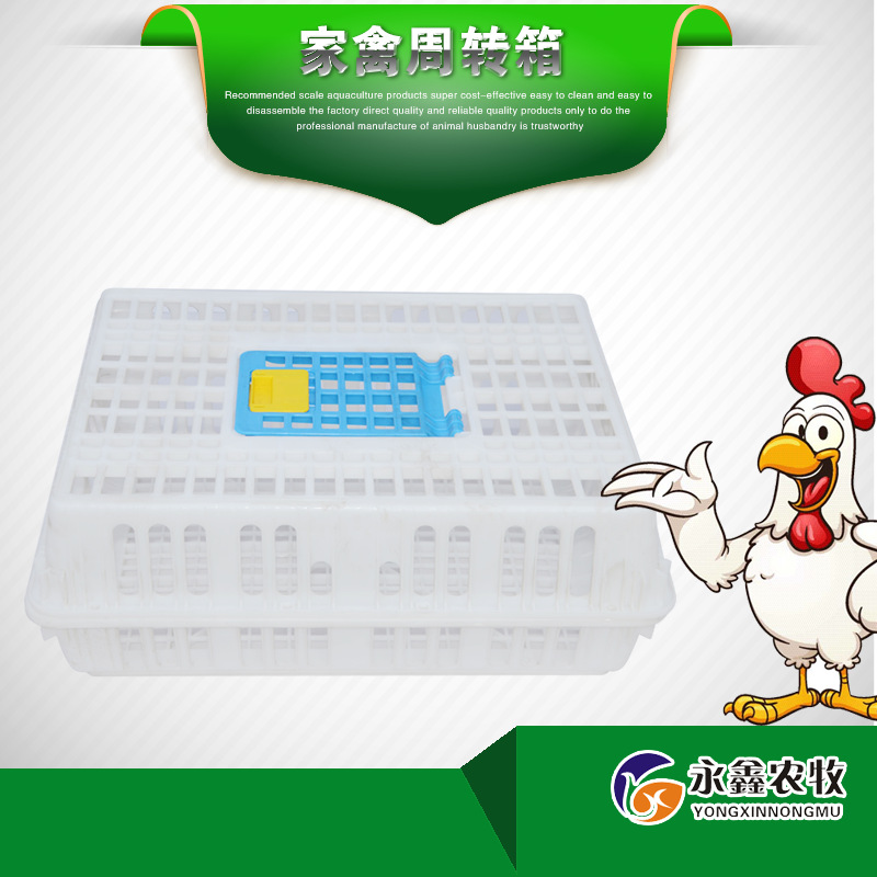 厂家批发 家禽周转箱  鸡鸭兔运输笼 鸡鸭兔周转运输筐