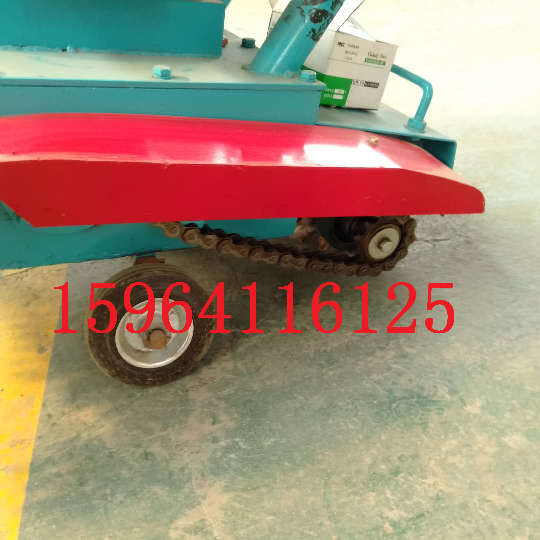 298565727368145621.jpg