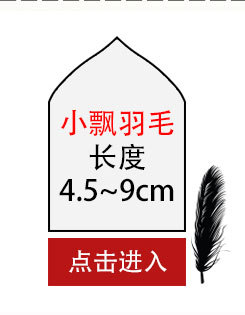 大飘羽毛详情_07