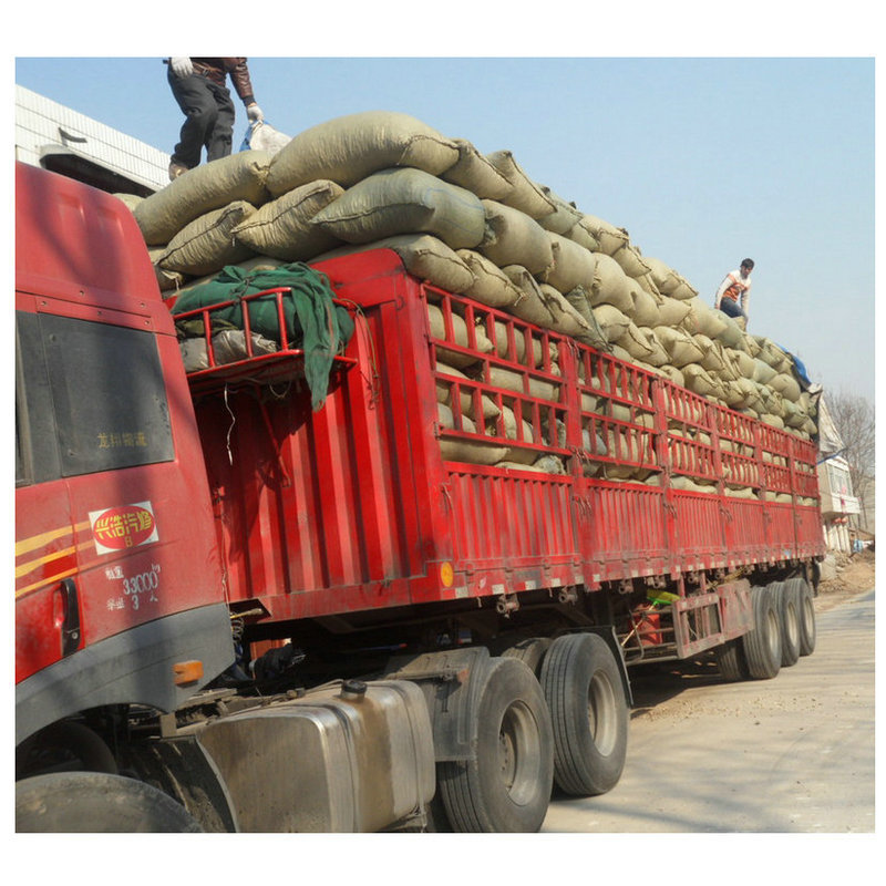 9658953016_1054931706