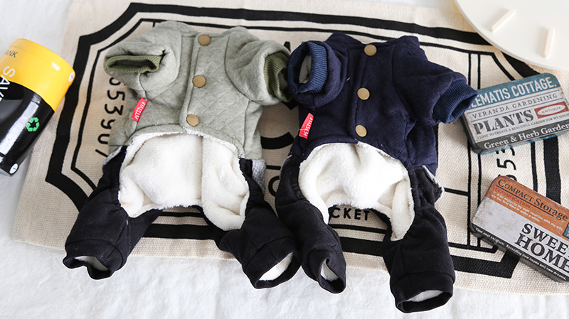 猎鹰星压格四脚衣