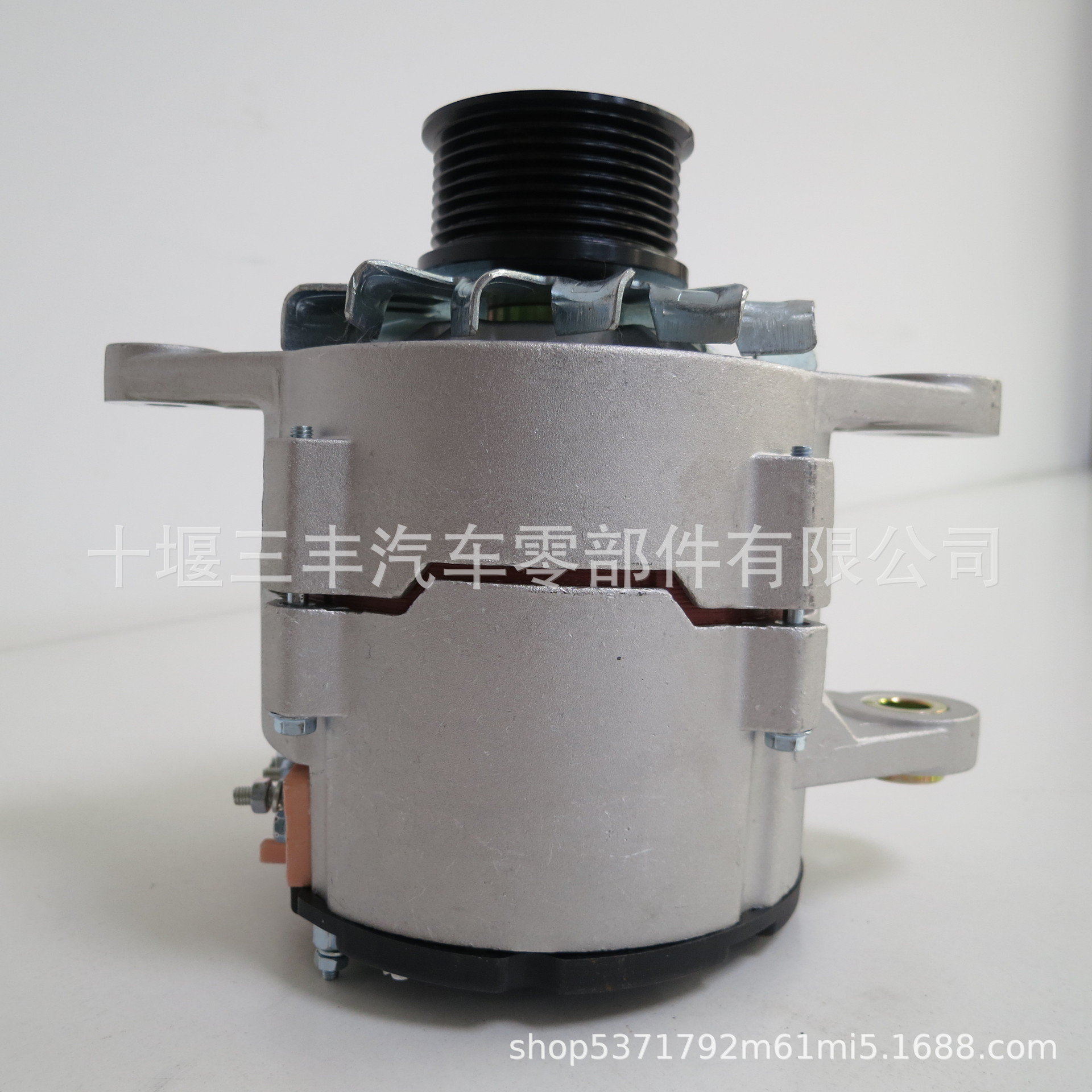 3979372 發(fā)電機(jī) (6)