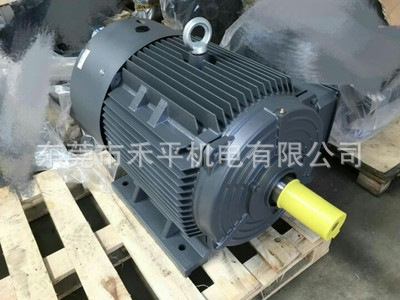 大量出售贝得高效系列电动机1TL0001-2BB23-3AA5 45KW 4极 卧式