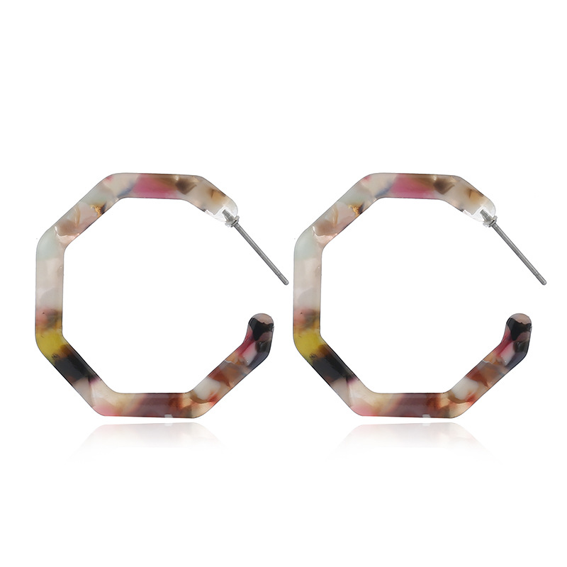 Exaggerated Acetate Plate Creative Geometric Leopard Print Earrings display picture 7