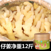 泡生姜四川正宗老坛泡姜 泡竹根姜仔姜嫩姜川菜调料10kg桶装