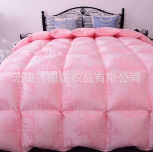 ���ܶȼӺ���q�������l �������s���{�L��q��Ƥ����