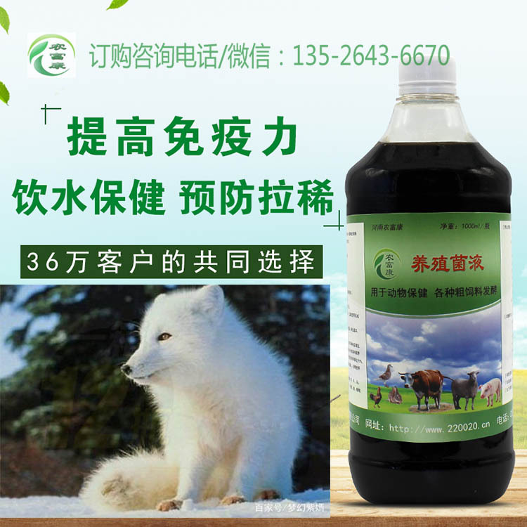 狐狸拉稀使用饮水保健液灌服可以治疗吗