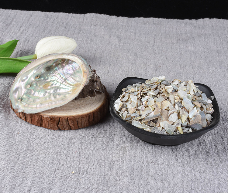 Shi Jue Ming (Haliotis Shell / Abalone Shell) — Dried Mineral Herb, 500g quality and texture
