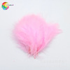 Winning feather manufacturers wholesale scattered roots of turbulent natural all -color color 50 sets of spot pet decoration