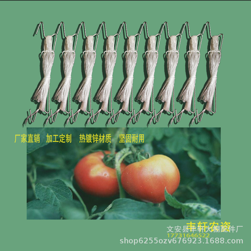 中荷西红柿吊秧挂钩温室大棚配件吊秧挂钩