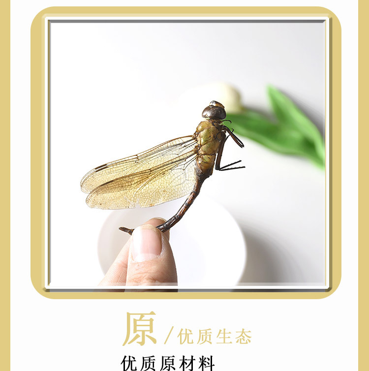 Dried Green Dragonfly (Anisoptera) — Whole Clean Edible Insect Herb 500g key features