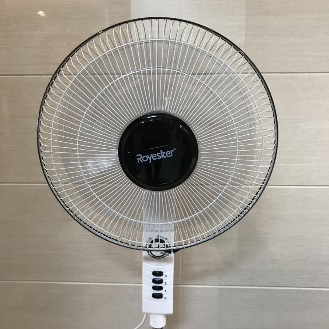 风扇6