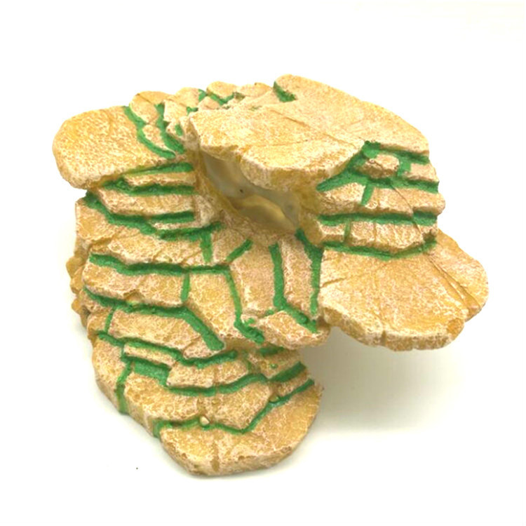 4503245031_1703067398