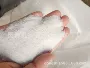 东石河北中国红桔红雪花白