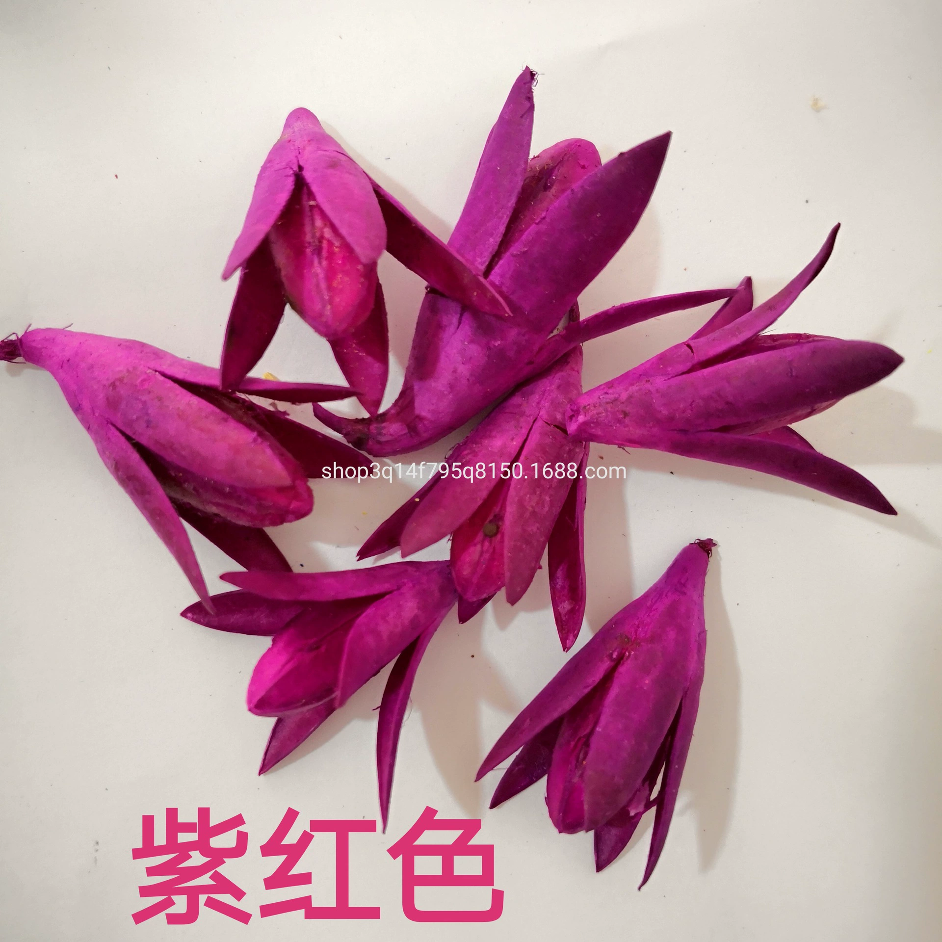 [Magnolia] Manufacturer supply naturally toon fruit shell Magnolia dried magnolia flower DIY handmade flower combination flower material