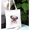 Brand school bag, fresh shopping bag, one-shoulder bag, cloth bag, simple and elegant design