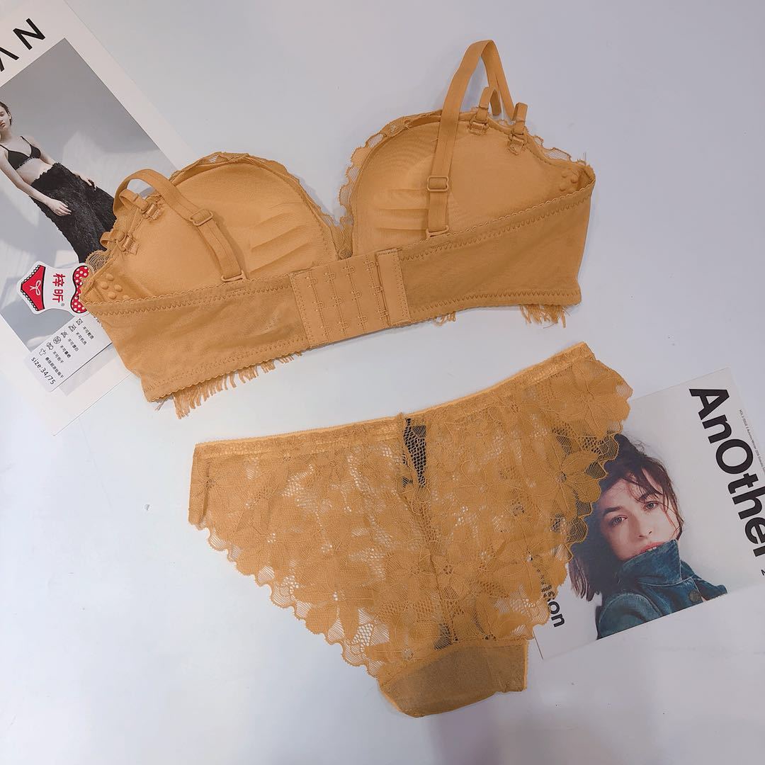 8203 Jade Rabbit Essence Sexy Lace Tassel Medium Thick No Steel Ring Bra Set Small Chest Gathering Women's Underwear_voghion.com