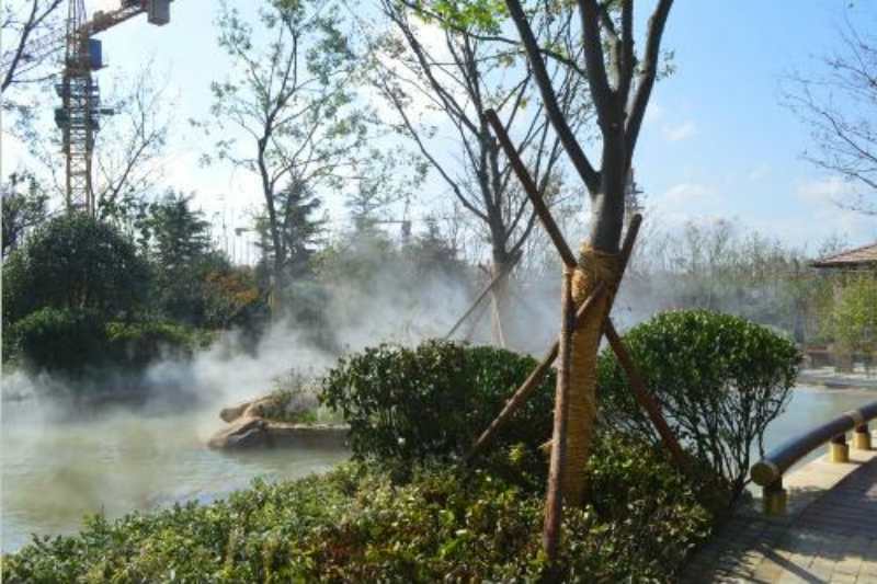 雾森效果图 (16)