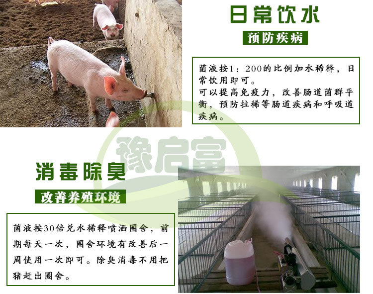 养猪场专用益生菌