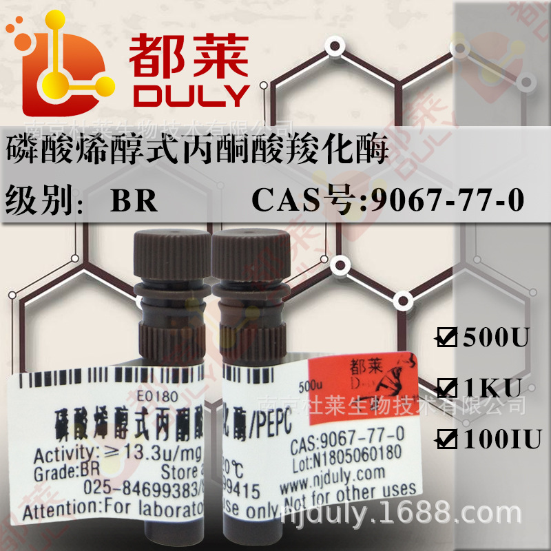 科研试剂 磷酸烯醇式丙酮酸羧化酶/PEPC 规格：BR，5u/mg 可开票