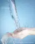 纺织印染还原mc-2300助剂