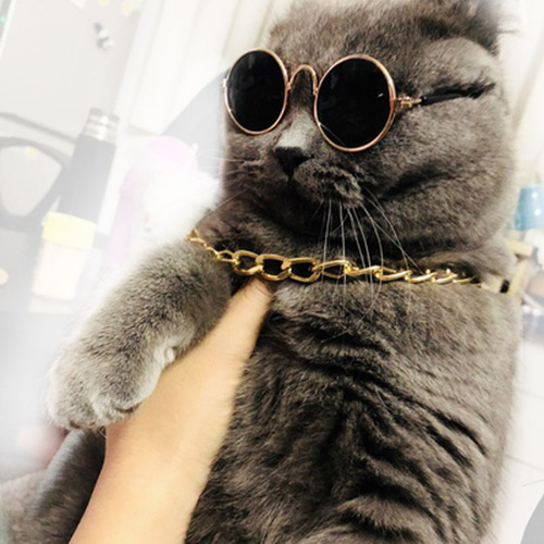 Manufacturer pet fashion accessories set sunglasses dog necklace cat supplies combination set