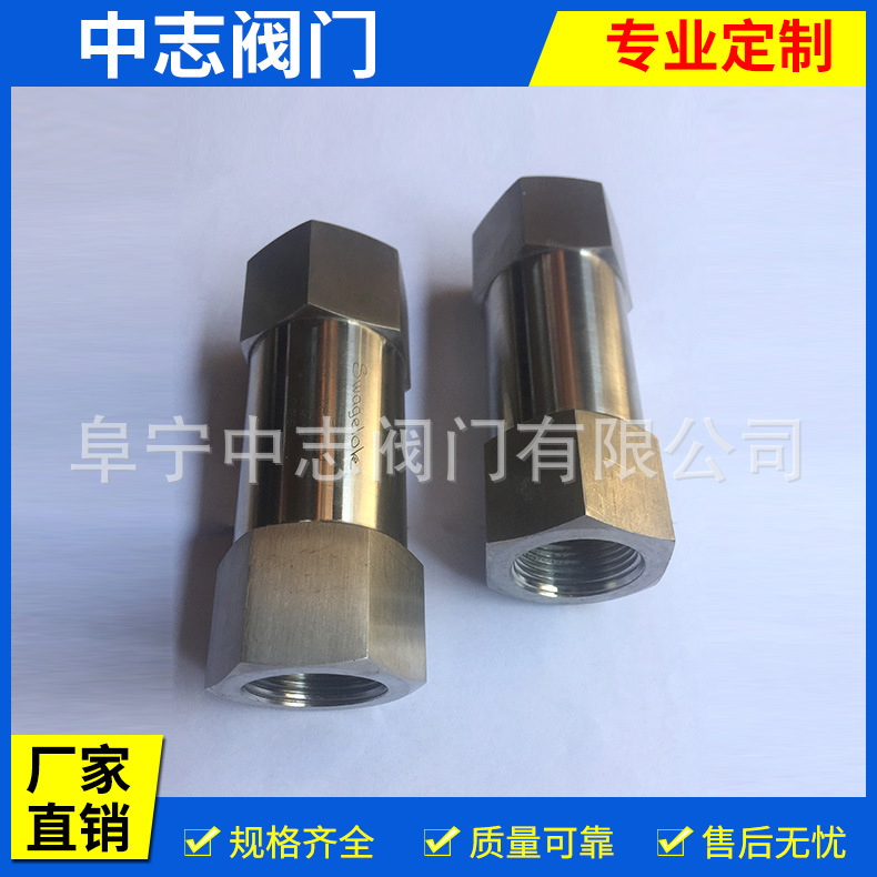4-不锈钢止回阀(内螺纹DN20)