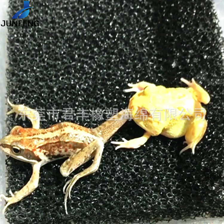 君丰定做爬行动物、蜥蜴仿沙地柔软黑色透气过滤海绵块