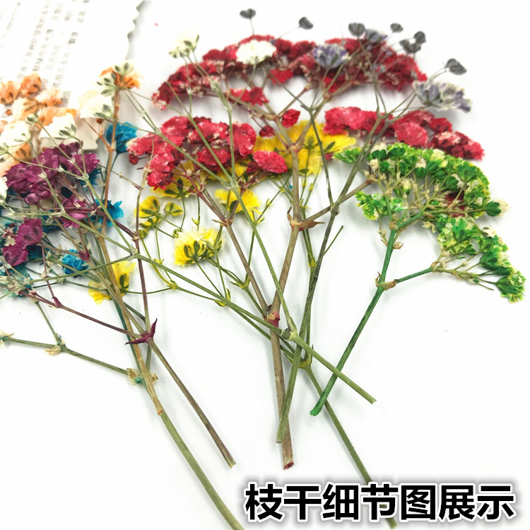 QQ图片20181210201109