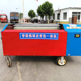 陕西鲜核桃去皮机青核桃去皮机家用青核桃水洗去皮机一体机