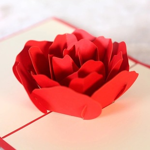 �S�ҹ���3Dõ�廨���w�R�����⻨����w�U�ռ���ף���R���������l