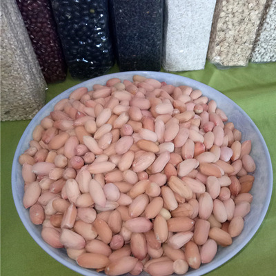 花生米生 农家新花生仁五谷杂粮 红皮山东花生 500g起批