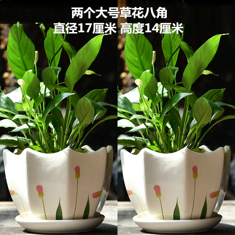 草花八角_副本.jpg
