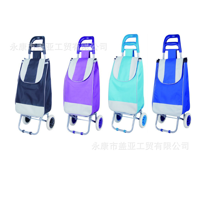 便攜式購物車 買菜小拉車 超市促銷手推車 折疊 爬樓 老年人帶凳