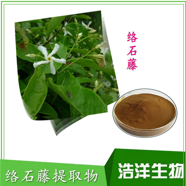 络石藤提取物粉