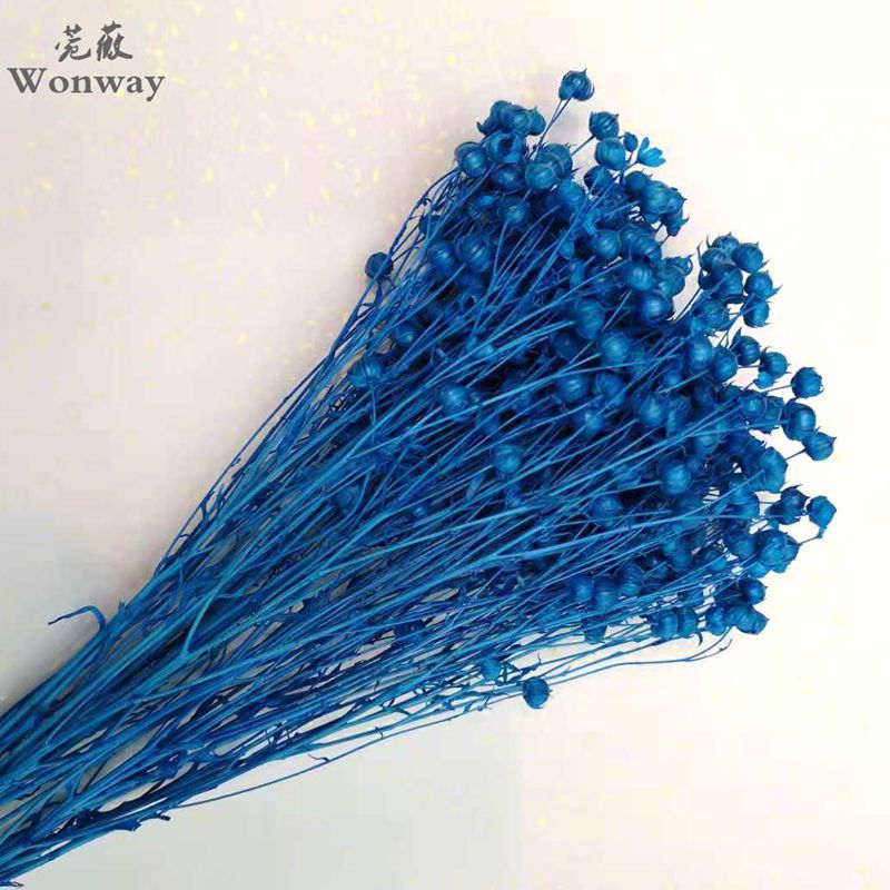 微信图片_20181129155645