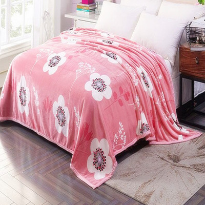 厂家直销一件代发云貂绒毛毯春秋毛毯冬季法兰绒单双人床单毯