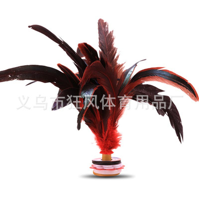 wholesale Feather Shuttlecock student match train Shuttlecock outdoor Bodybuilding Shuttlecock Soft Bottom Multiple feathers