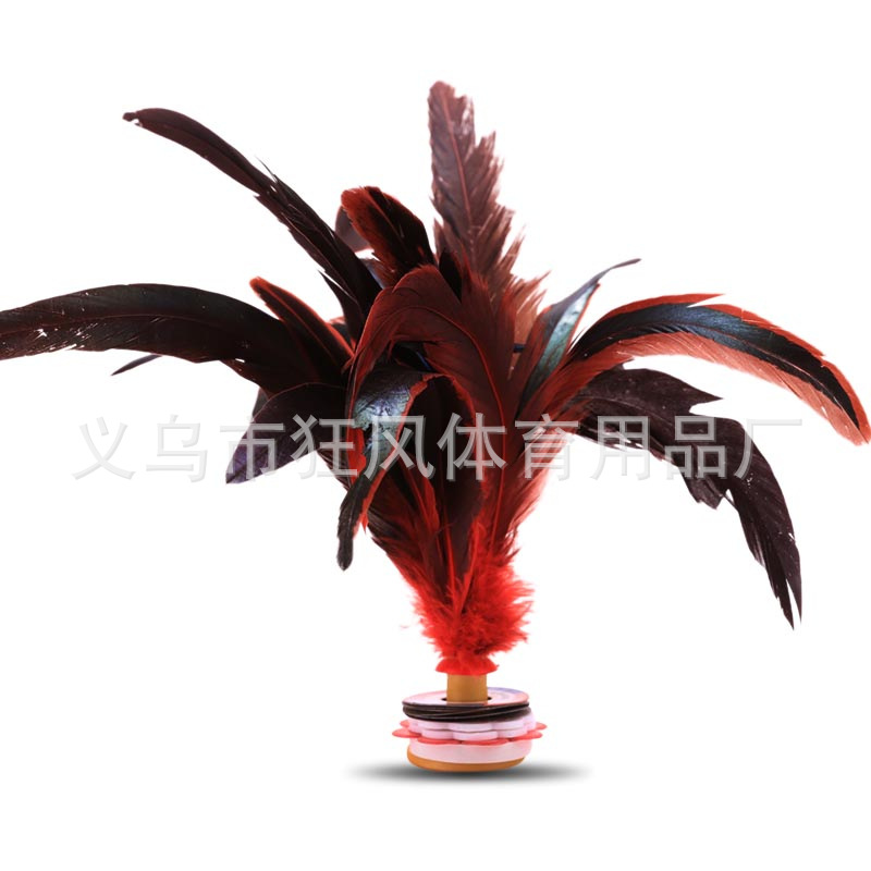 wholesale Feather Shuttlecock student match train Shuttlecock outdoor Bodybuilding Shuttlecock Soft Bottom Multiple feathers