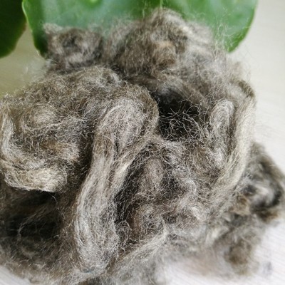 1.5D 38MM.银纤维短纤用于除臭混纺纱|ru