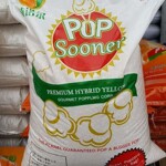 ��������½�45�����α��׻�������ӰԺ�߱��ѱ��׻�����������