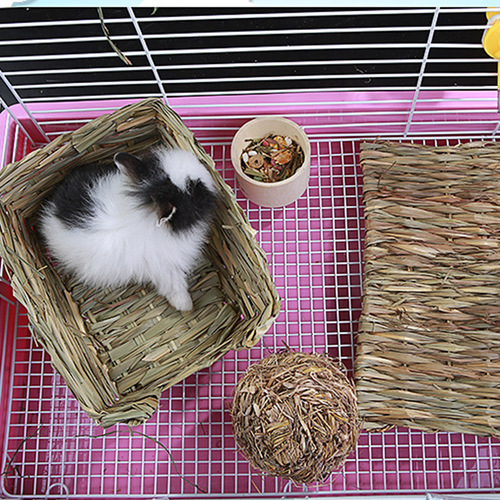 A variety of pet hamsters, rabbits, chinchillas, Dutch pigs, straw mats for teething, grass nests, thatched houses, straw mats
