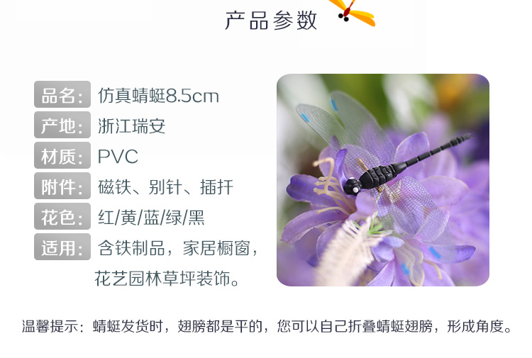 蜻蜓8.5公分-阿里详情页_02.png
