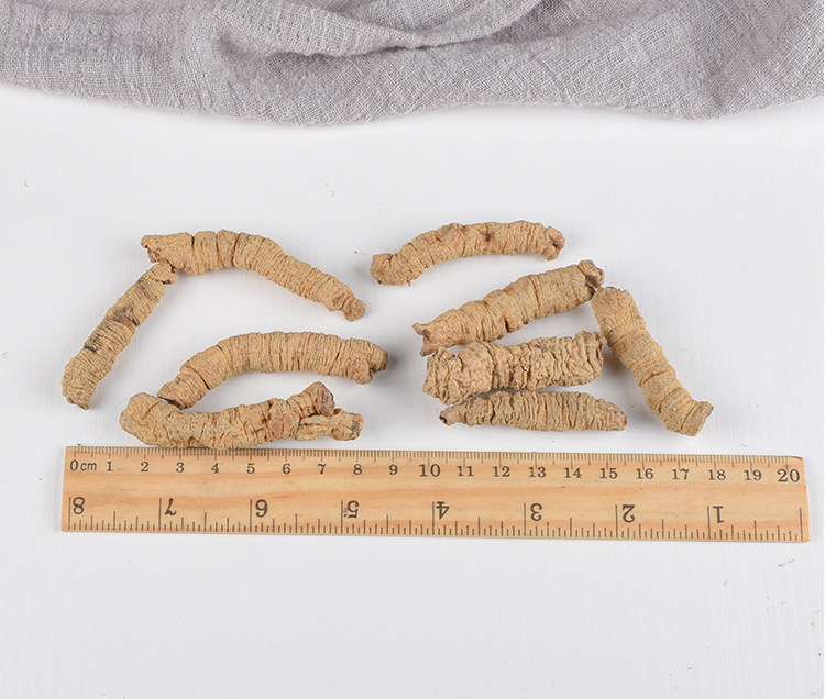 Ba Ji Tian (Morinda officinalis) — Dried Food-Herb Root, Core-Removed Ba Ji Rou Slices quality and texture