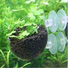 ˮ��������ˮ��ֲ���B�쾰�� ˮ���^�~�ג���ˮ���ܷNֲ�b����l