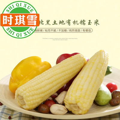 东北速冻（甜糯白玉米棒/甜糯黄玉米棒）冷冻农家粘糯苞米约40个|ru