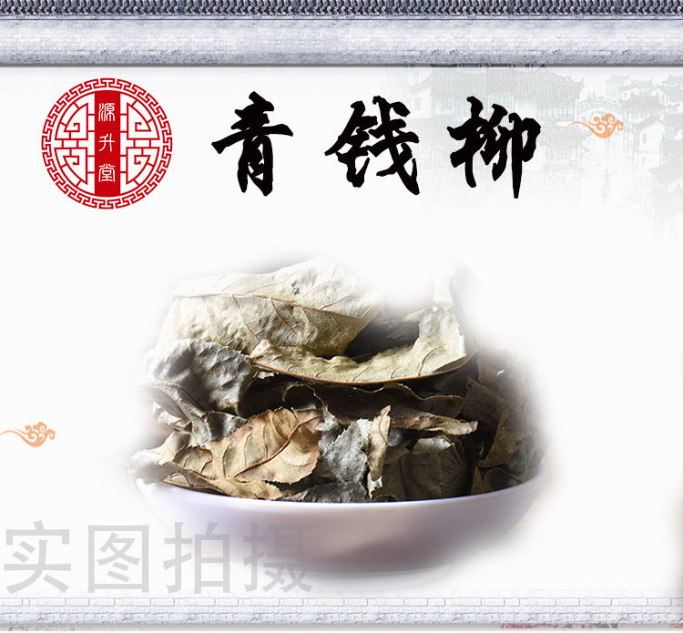 Qing Qian Liu Leaves (Cyclocarya paliurus) — Dried Food Herb for Herbal Tea & Decoction overview