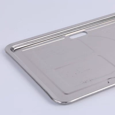 Agency-Specific Stainless Steel License Plate Frame, License plate holder/license plate holder