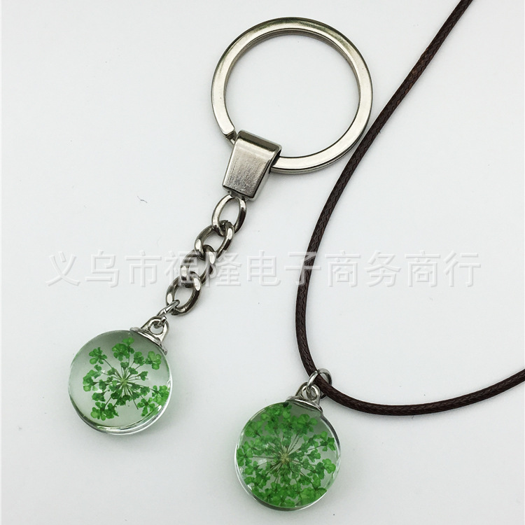 样品